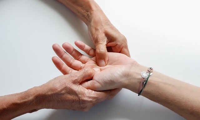 free ai tools for personalized wellness