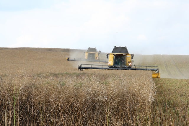 How to Use AI for Sustainable Agriculture Practices