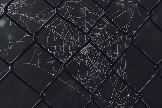 How to Use AI to Build and Train Neural Networks