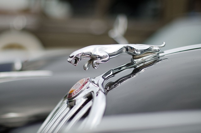 How to Use AI for Enhancing Brand Loyalty Programs