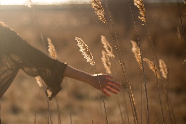 how to use ai in agricultural yield prediction