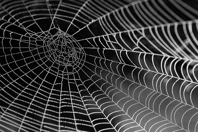 Recurrent Neural Networks (RNNs): How They Work and Applications