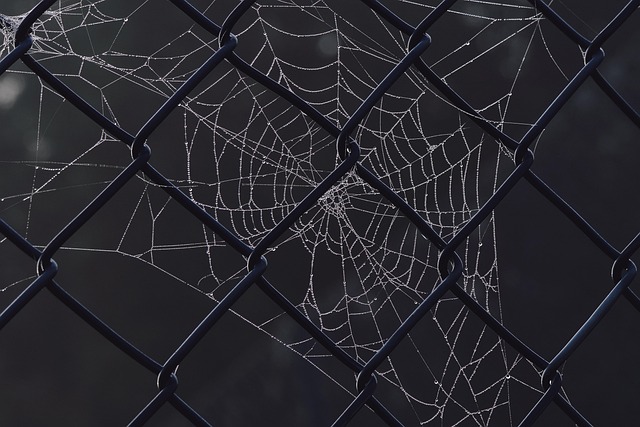 an introduction to convolutional neural networks