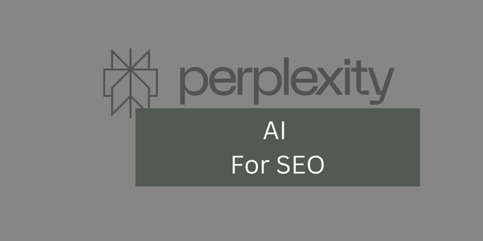 perplexity ai and seo